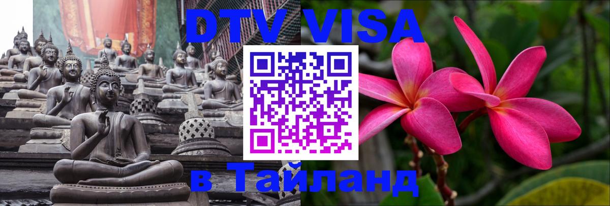 Сколько стоит DTV виза — актуальные цены, оформление даже без документов - 20.11.2025 